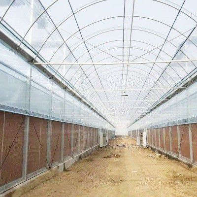 平武養(yǎng)殖大棚