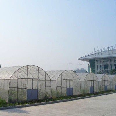 萊陽(yáng)西瓜大棚