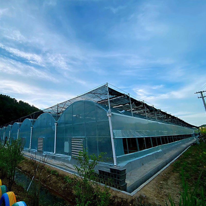平武溫室工程