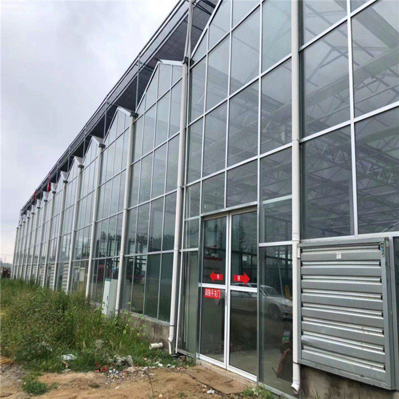 沐川玻璃溫室