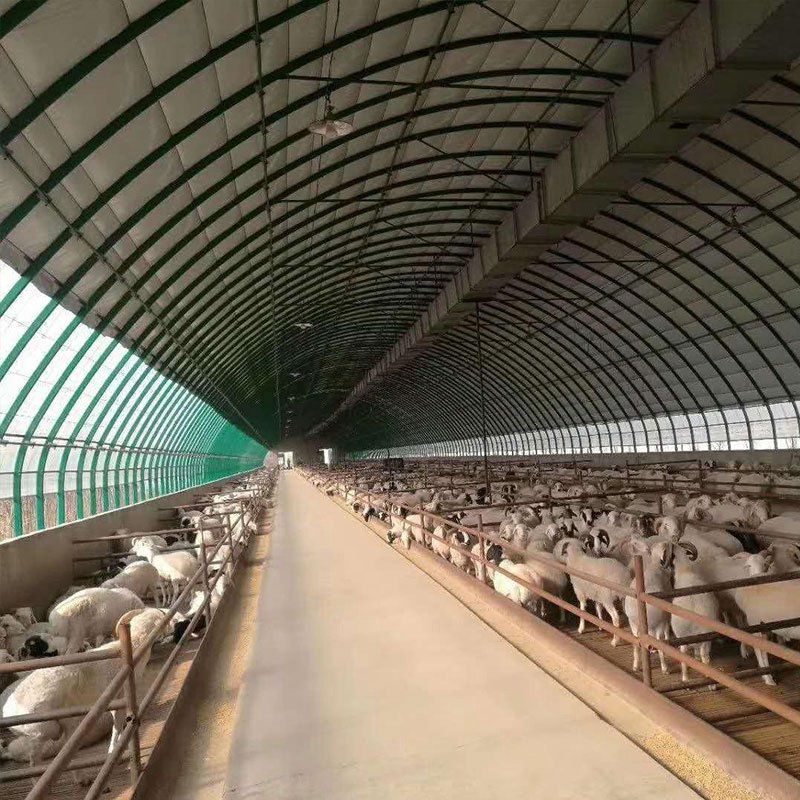 平武養(yǎng)殖大棚