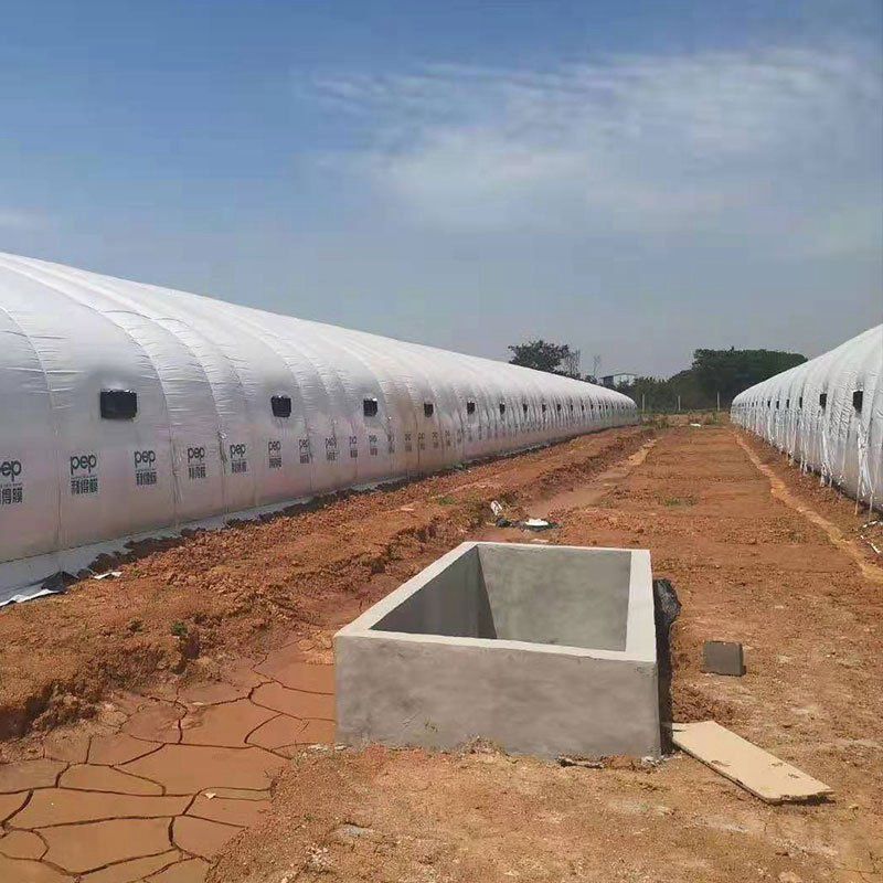 平武養(yǎng)殖大棚