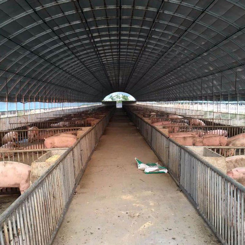 平武養(yǎng)殖大棚